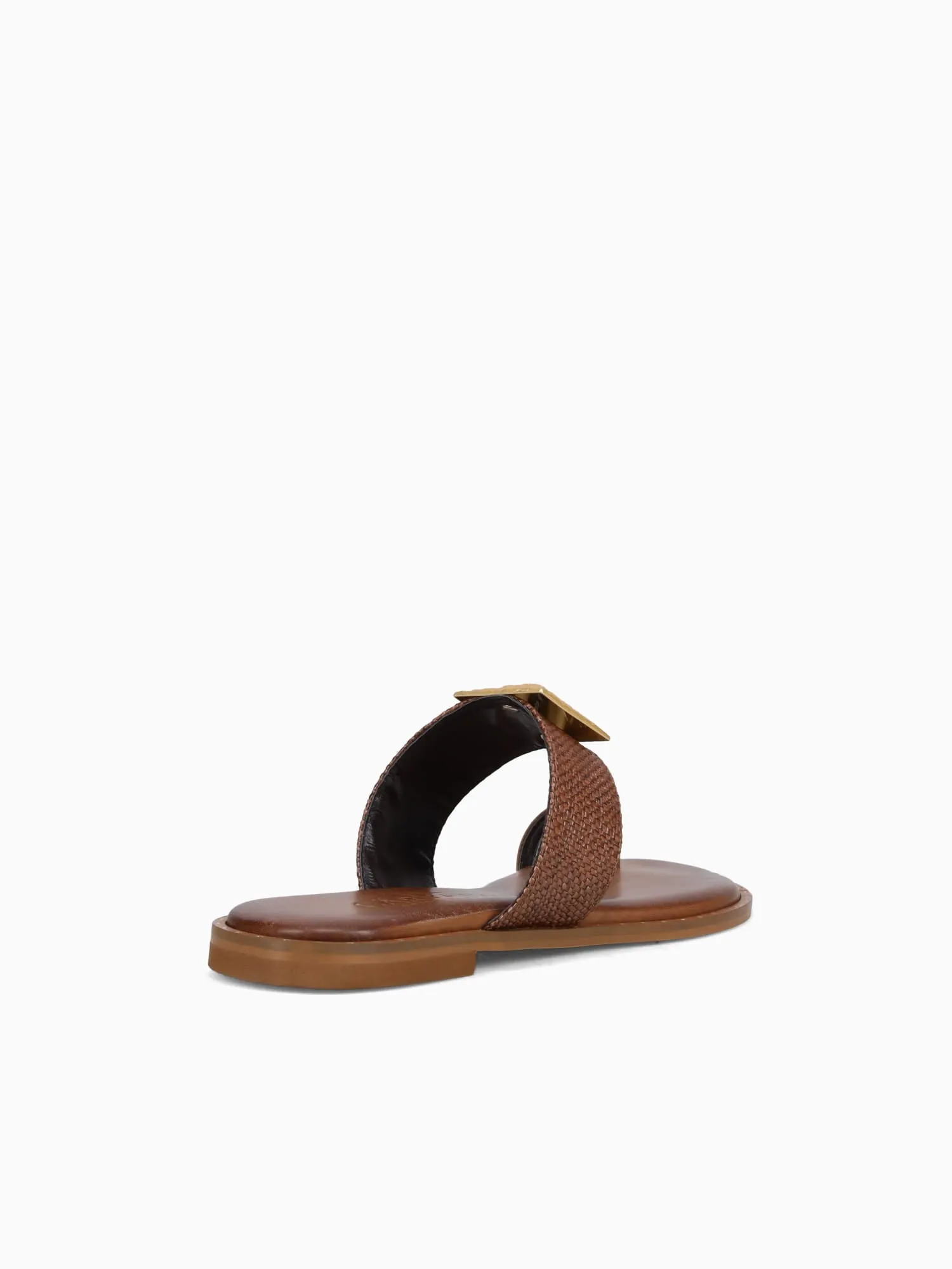 6295 Brown Gold
